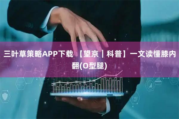 三叶草策略APP下载 【望京︱科普】一文读懂膝内翻(O型腿)