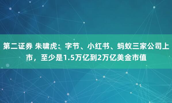 第二证券 朱啸虎：字节、小红书、蚂蚁三家公司上市，至少是1.5万亿到2万亿美金市值