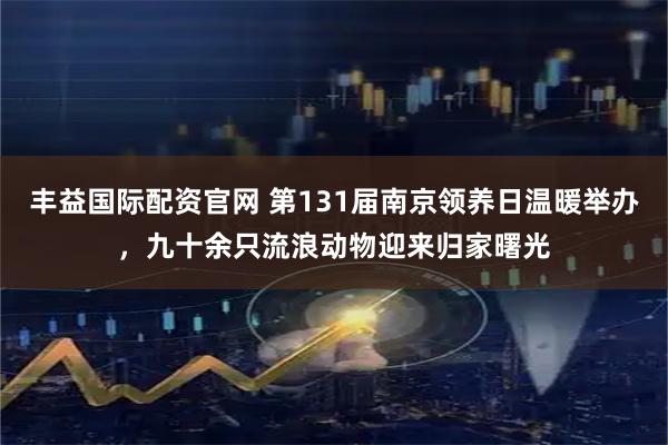 丰益国际配资官网 第131届南京领养日温暖举办，九十余只流浪动物迎来归家曙光