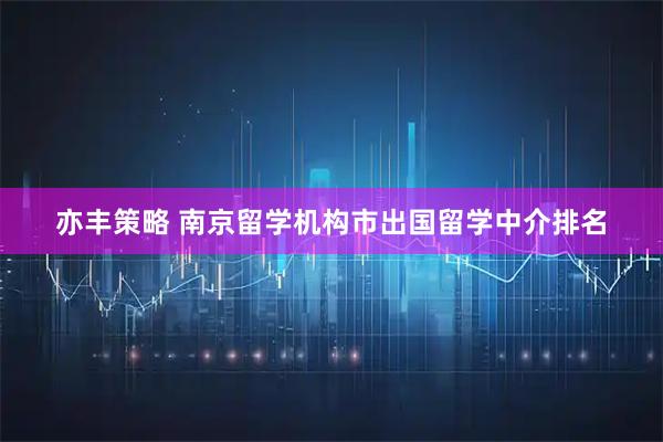 亦丰策略 南京留学机构市出国留学中介排名
