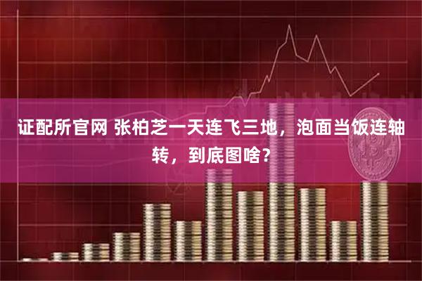 证配所官网 张柏芝一天连飞三地，泡面当饭连轴转，到底图啥？